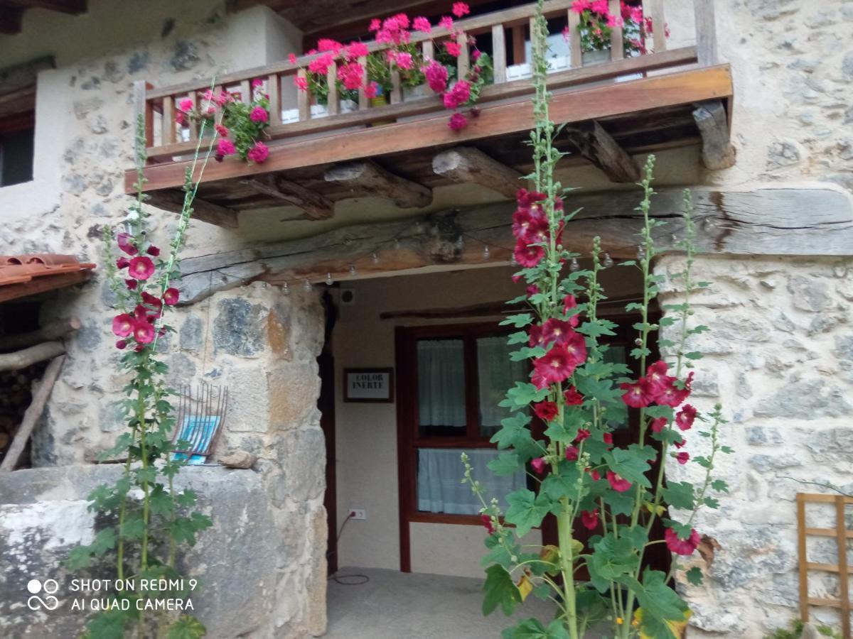 Belaustegi Turismo Rural Ispaster Exterior foto