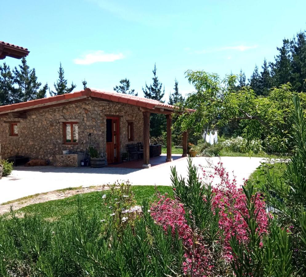 Belaustegi Turismo Rural Ispaster Exterior foto